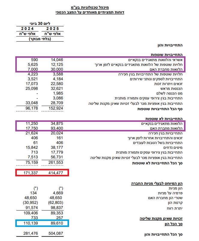 מיכפל - עליה במינוף מחצית ראשונה 2025